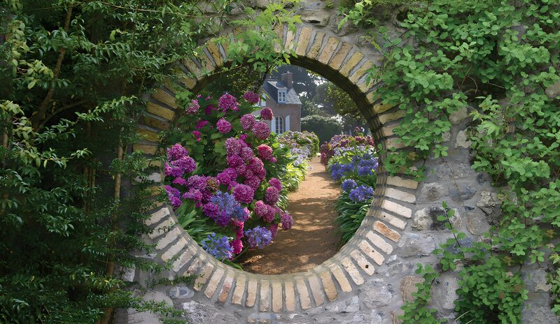 Blick durch den Blumenbogen