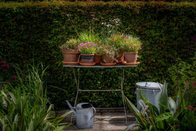 Blühende Pflanzen auf einem Tisch im Garten