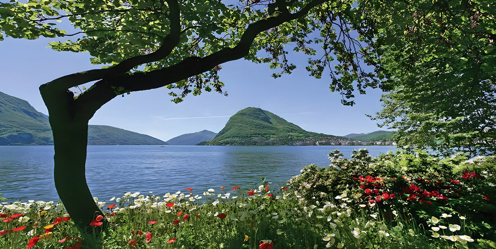 Beschauliche Landschaft am See