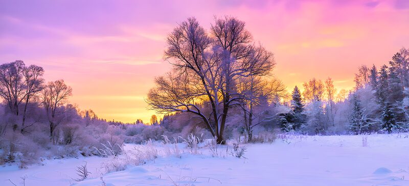 Winterlandschaft im lila Sonnenuntergang
