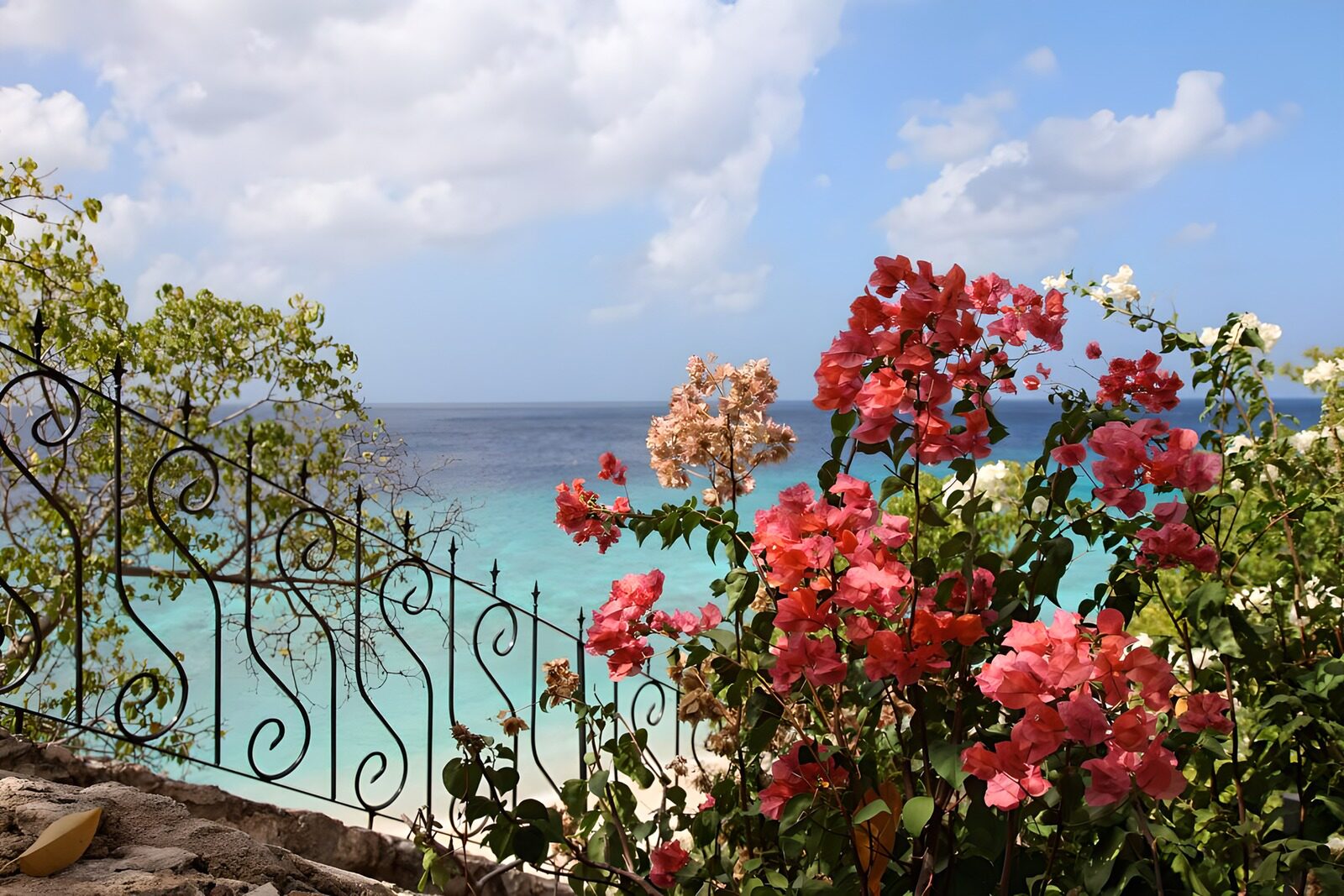 Blumenmeer am Karibischen Strand