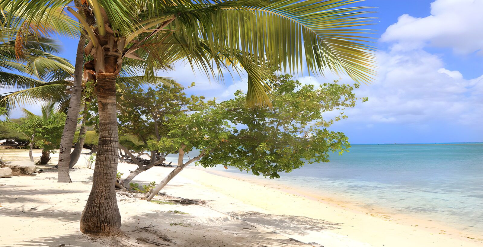 Entspannender Strand mit Palmen
