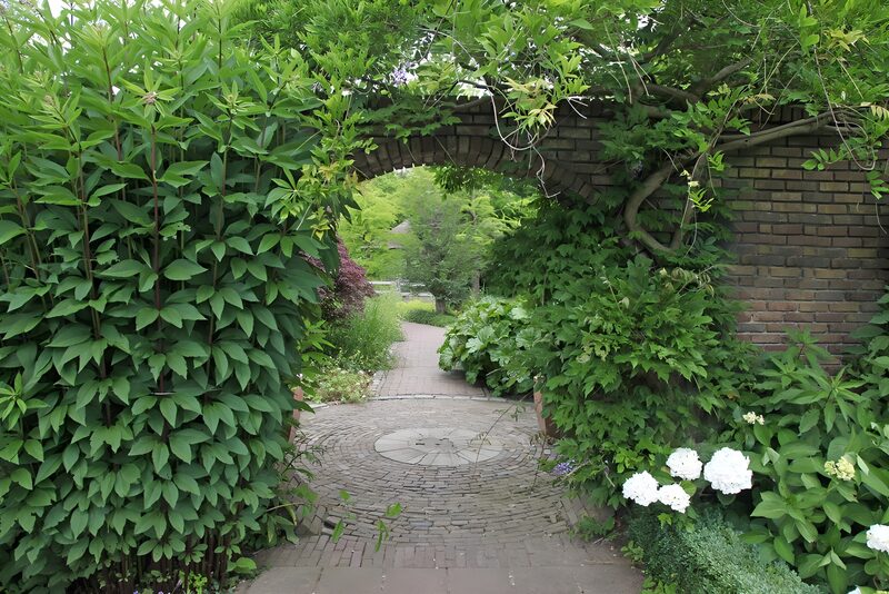 Grüner Durchgang in einer Gartenlandschaft