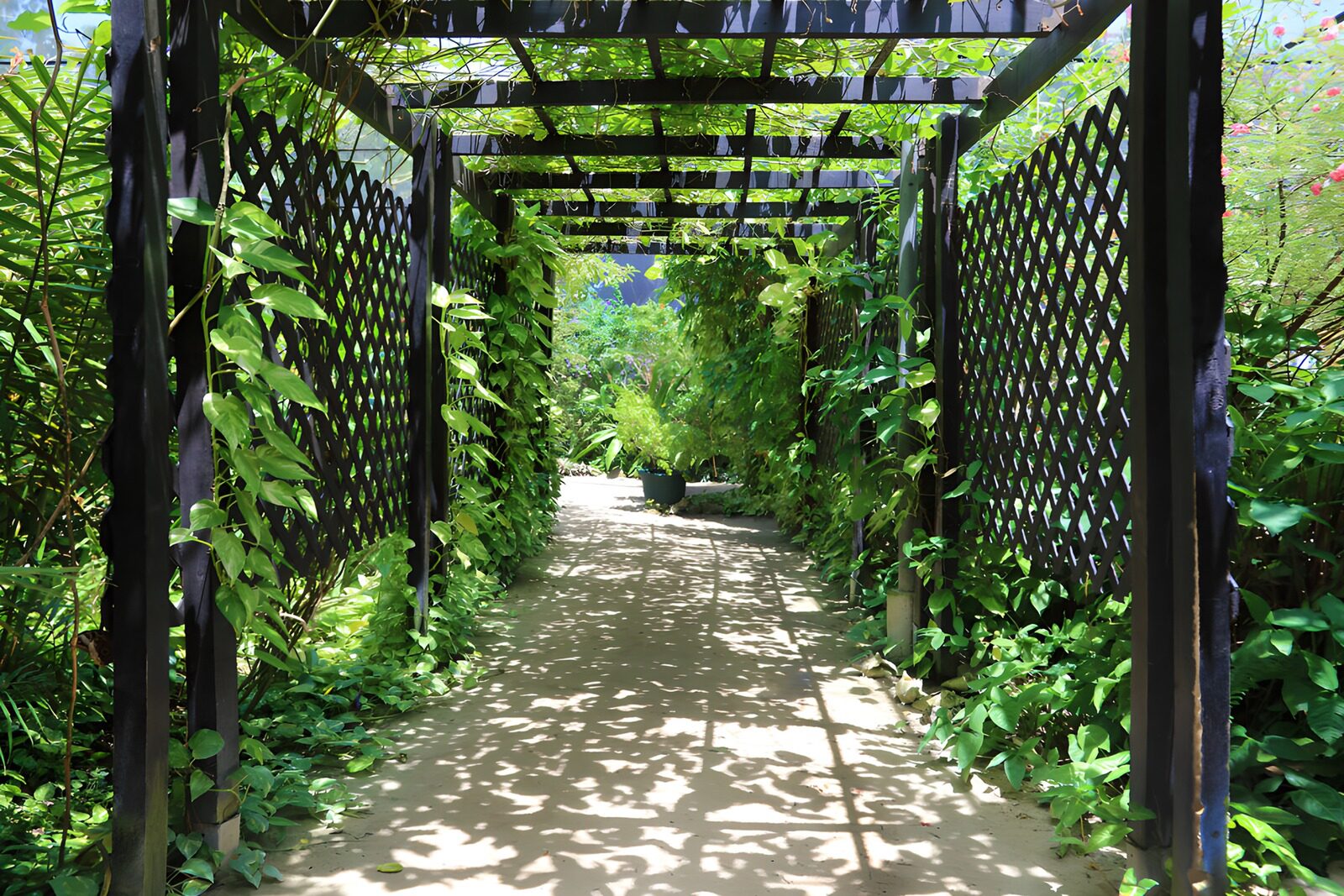 Grüner Gartenweg unter schattigen Bögen