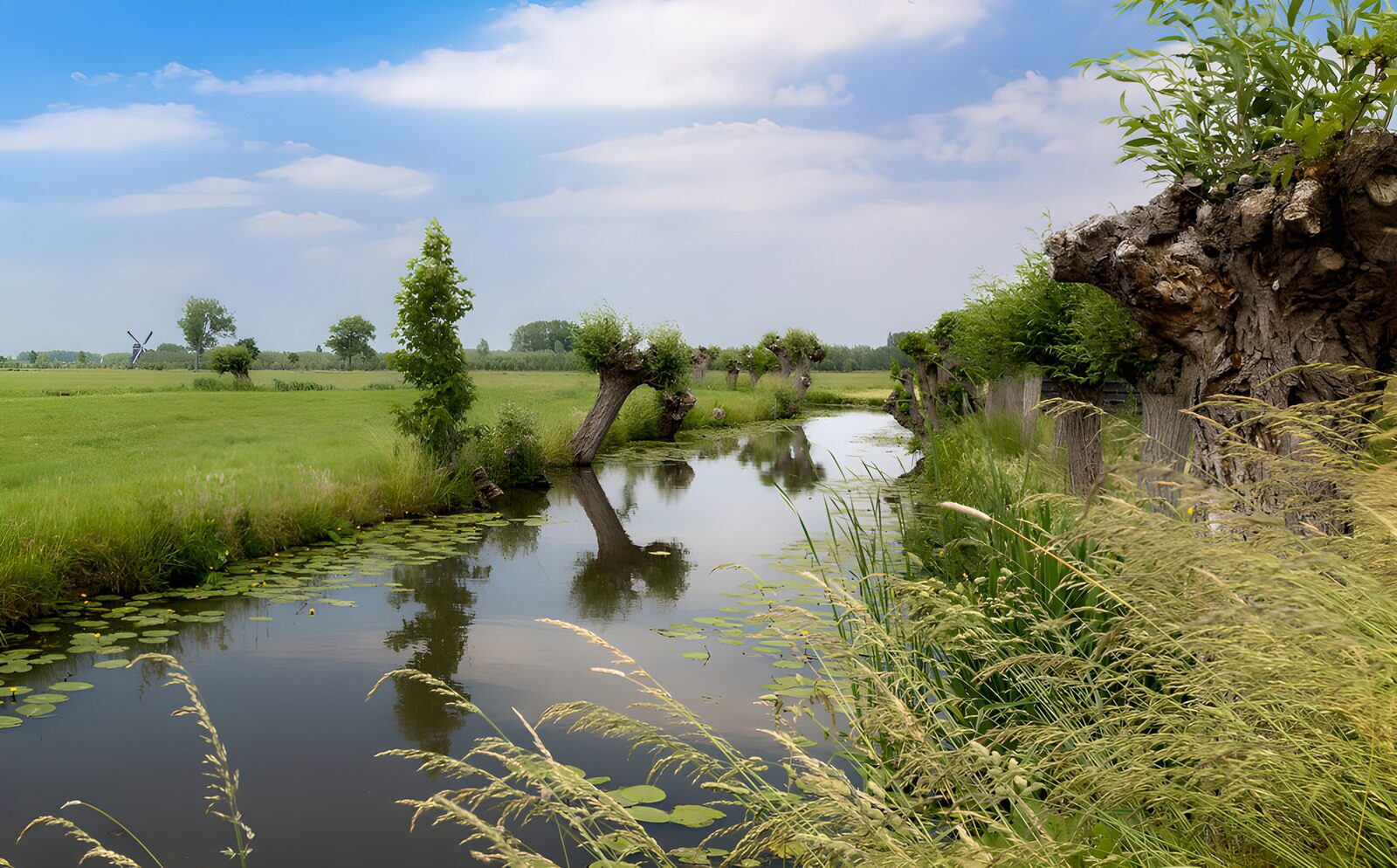 Idylle am Wasser in der Natur
