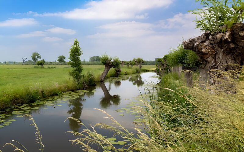 Idylle am Wasser in der Natur