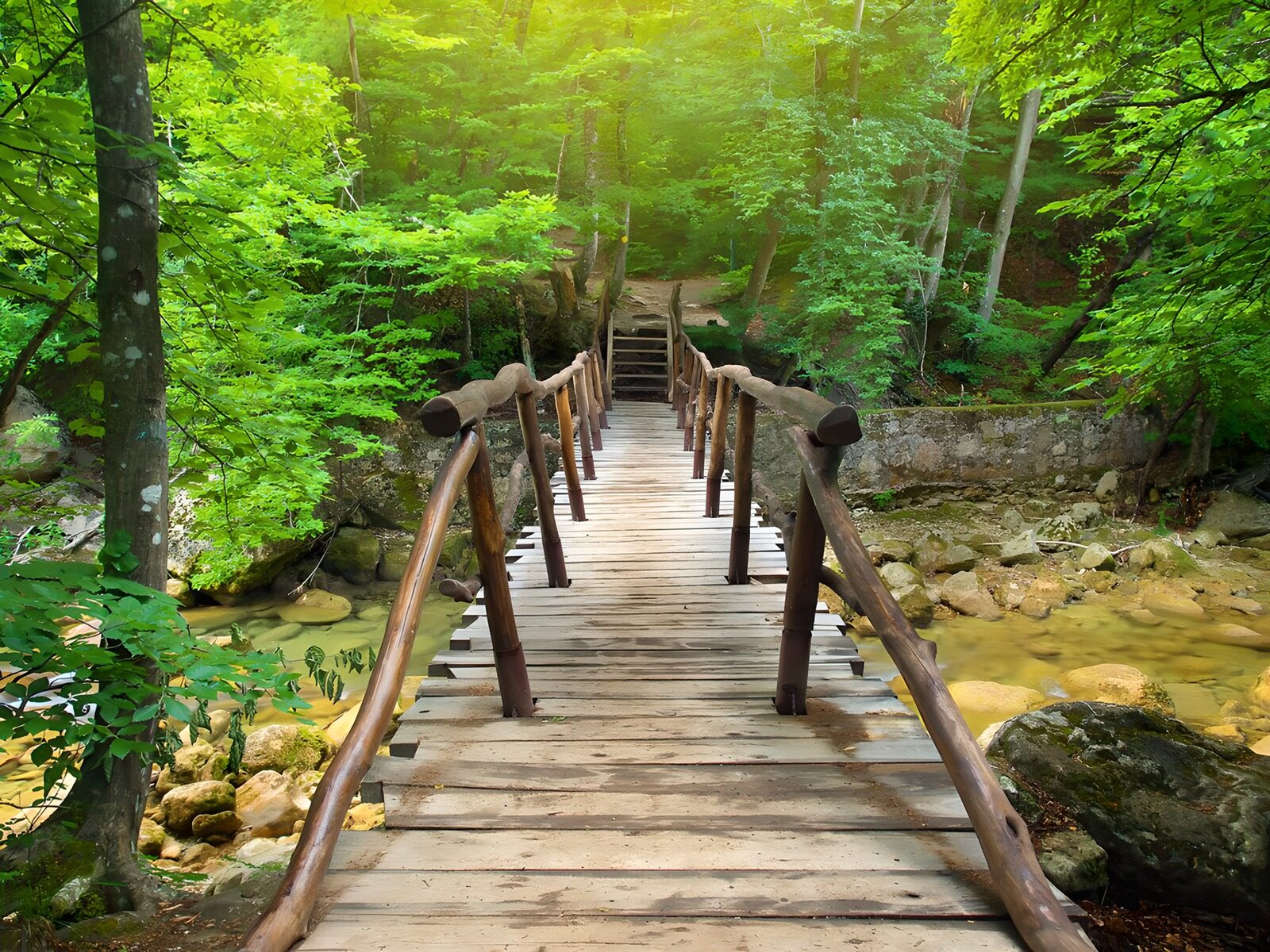 Grillige Holzbrücke im grünen Wald