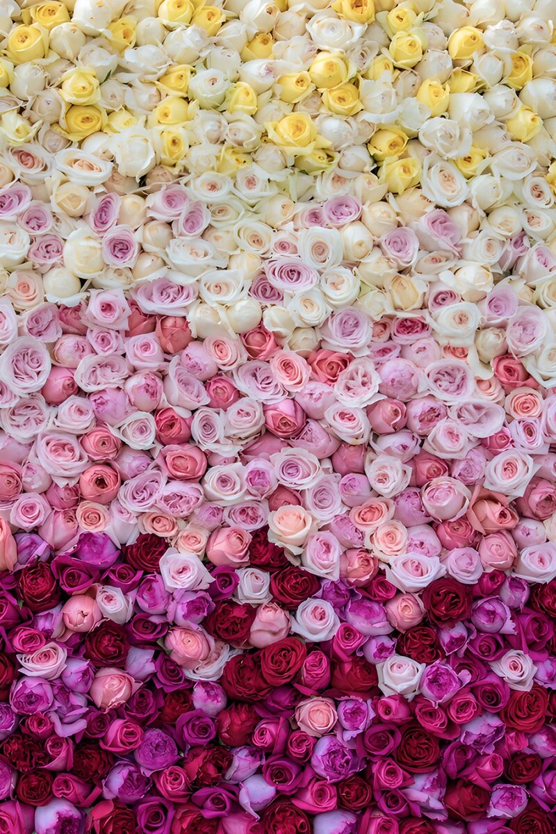 Farbenfrohe Rosenarrangements