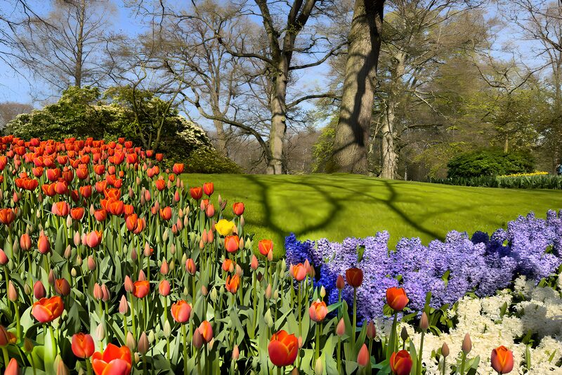 Frühling im blühenden Garten