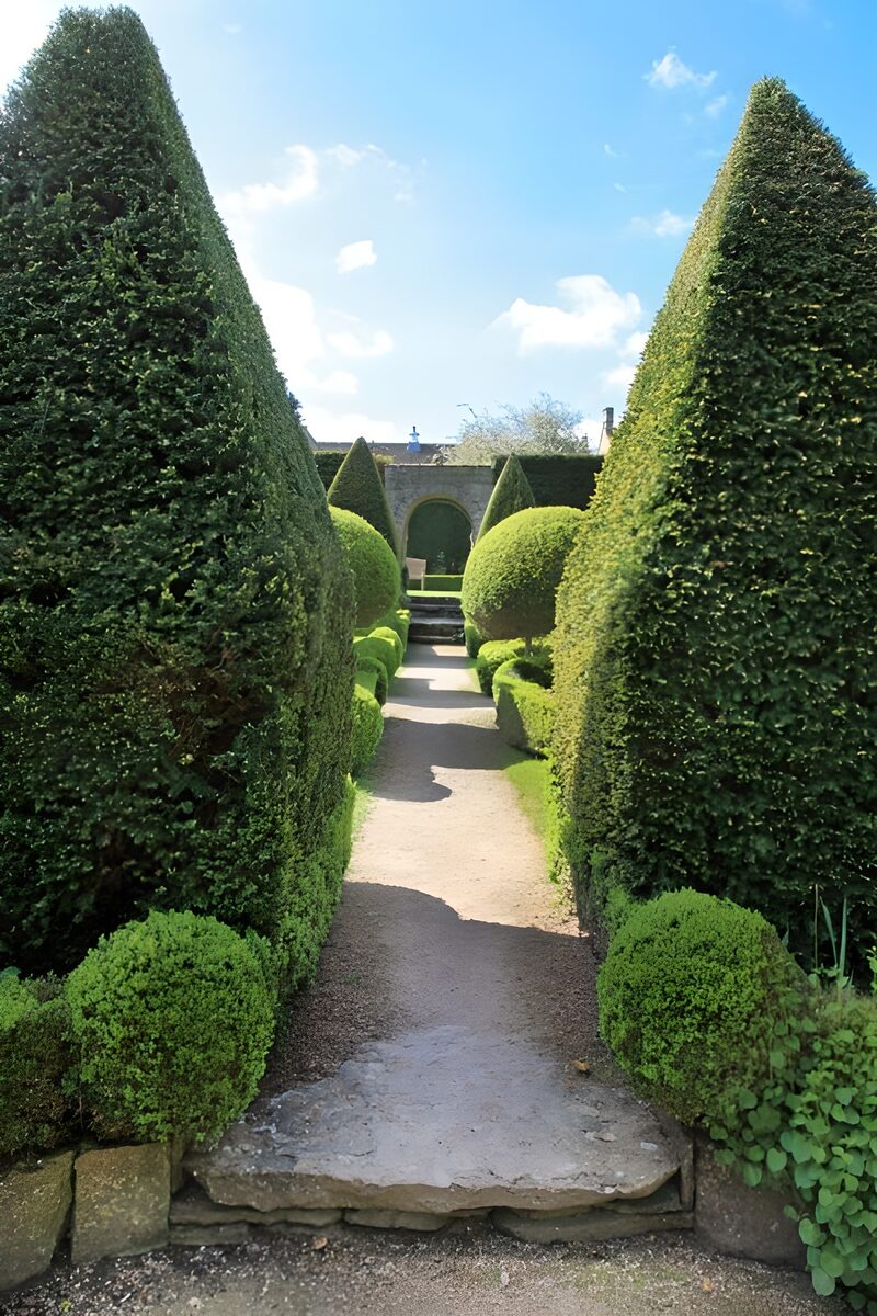 Grüner Garten mit geometrischen Hecken