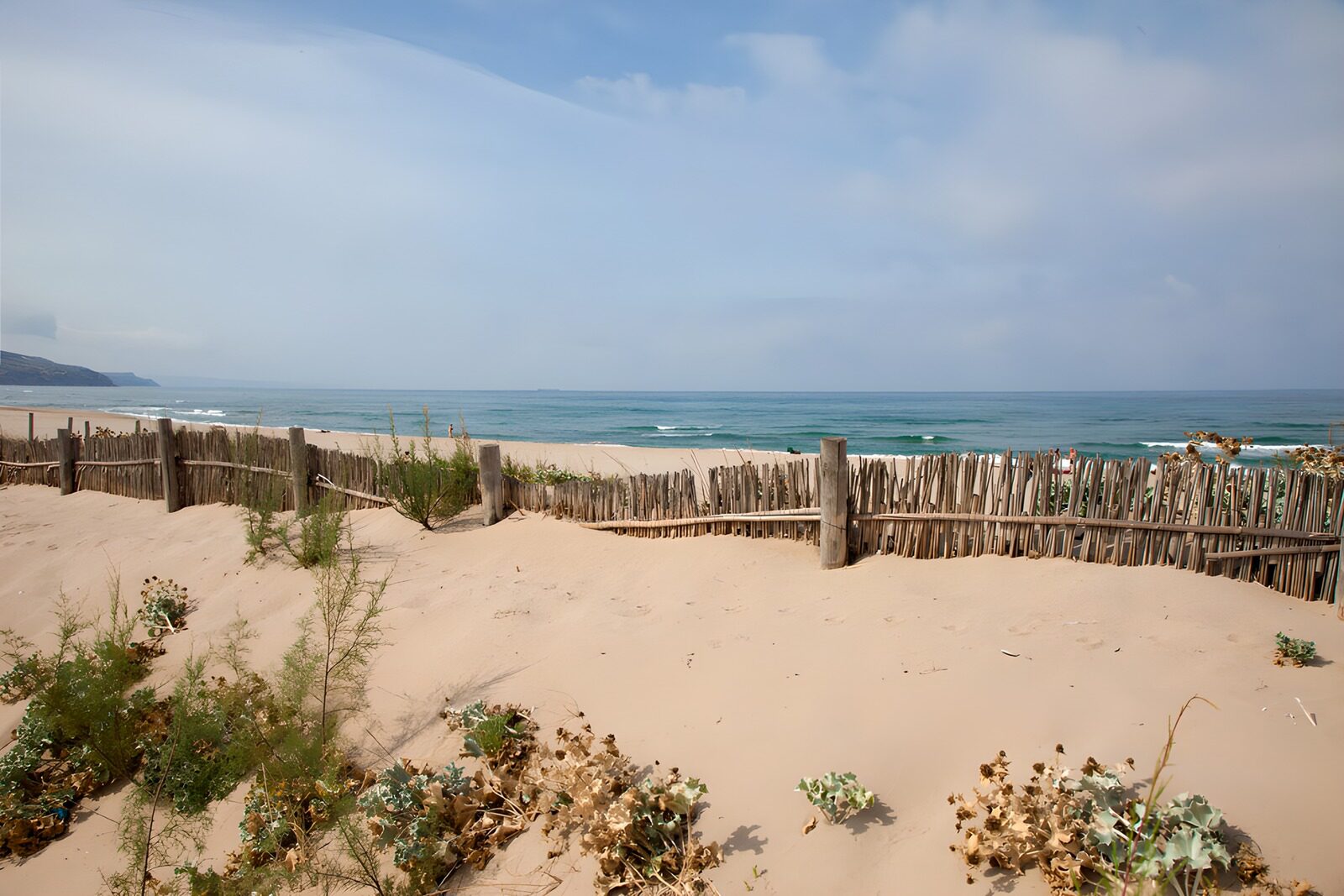 Küstenblick mit Sanddünen und Zaun