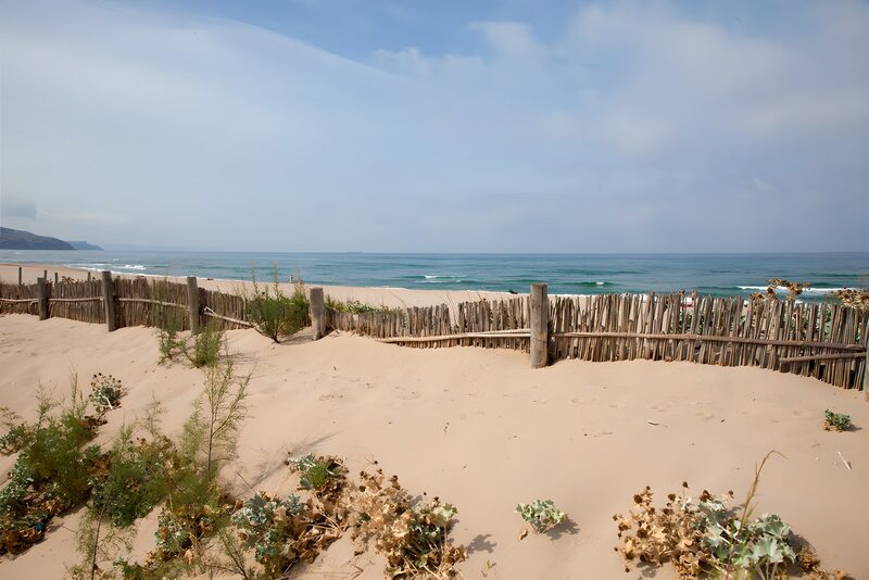 Küstenblick mit Sanddünen und Zaun