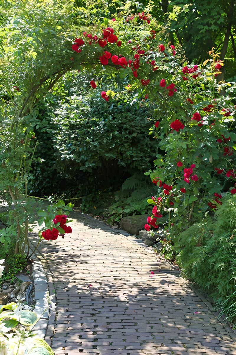 Rosenbogen über dem Gartenweg