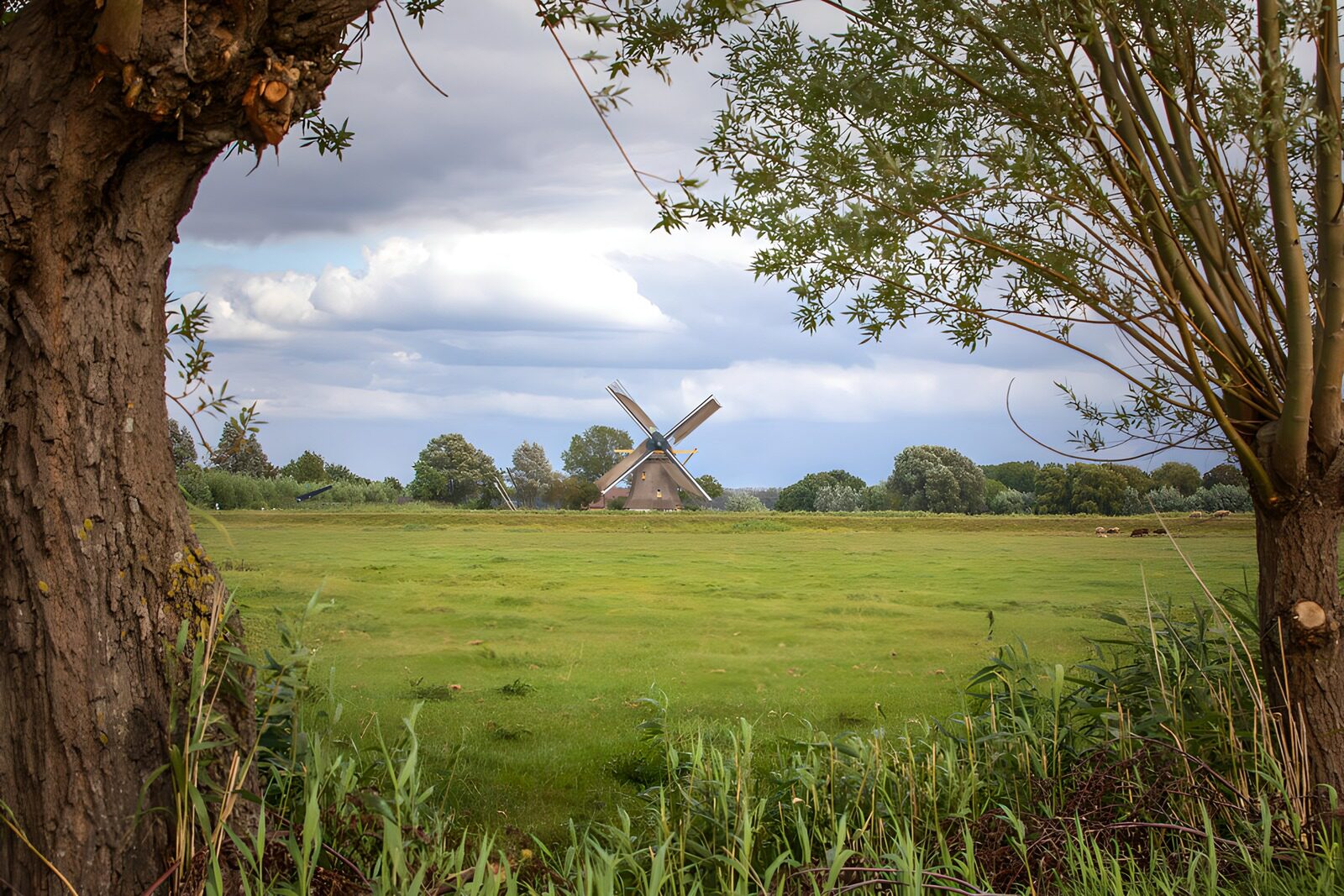 Windmühle im Grünen