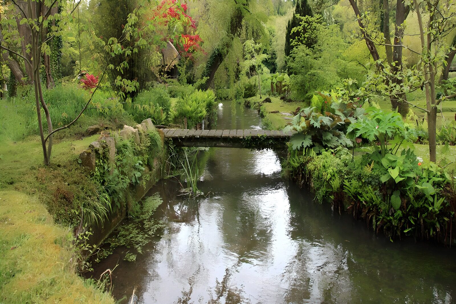Ruhiger Garten mit Holzbrücke