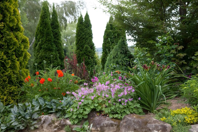 Farbenfroher Garten mit bunten Blumen