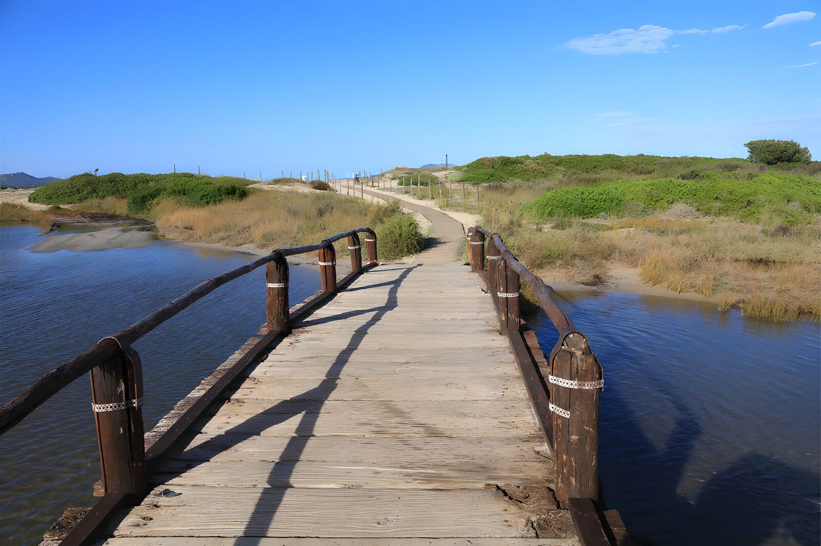 Weg über die Natur: Holzbrücke im Grünen