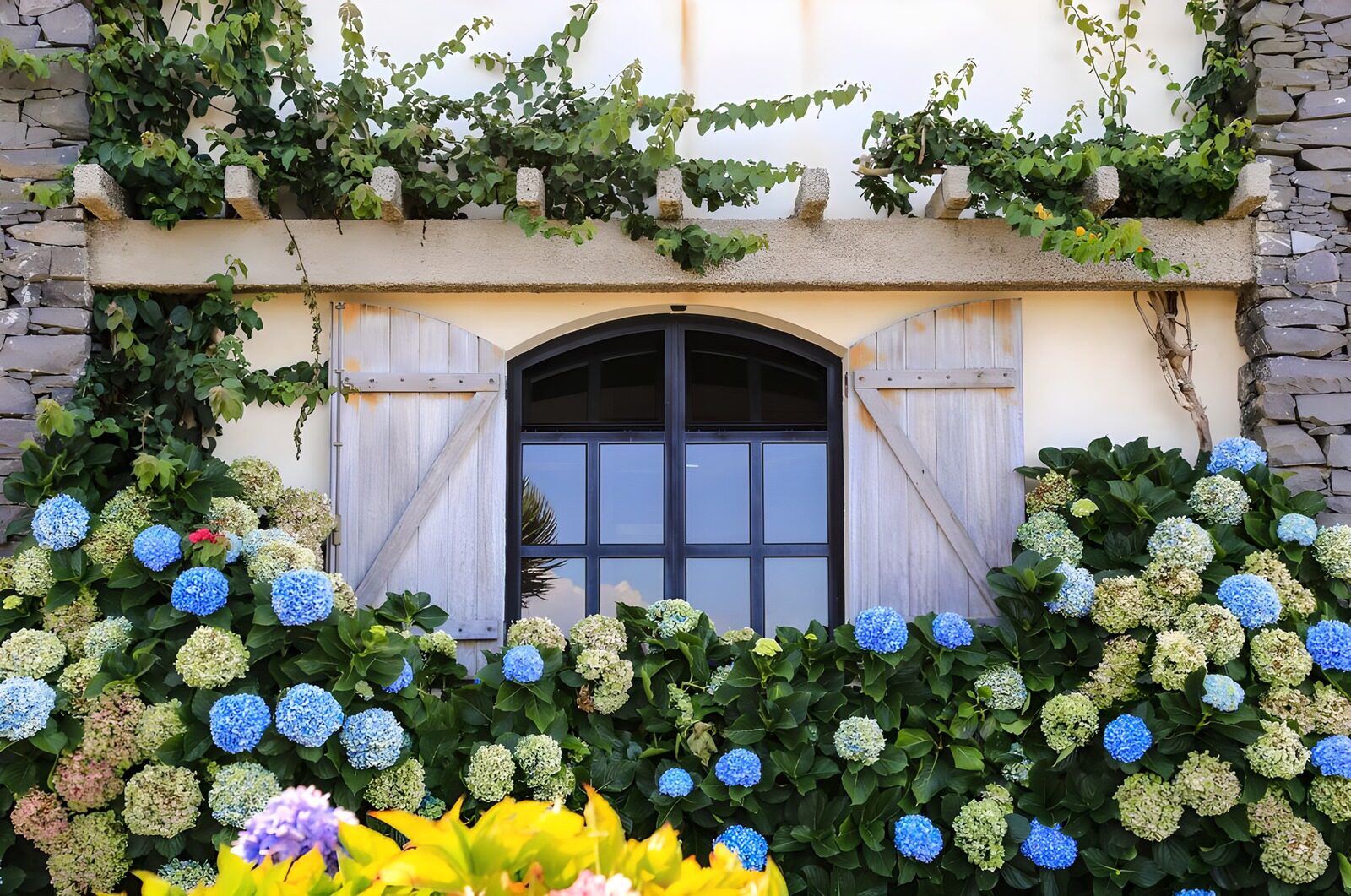 Blühendes Fenster mit Holzladen