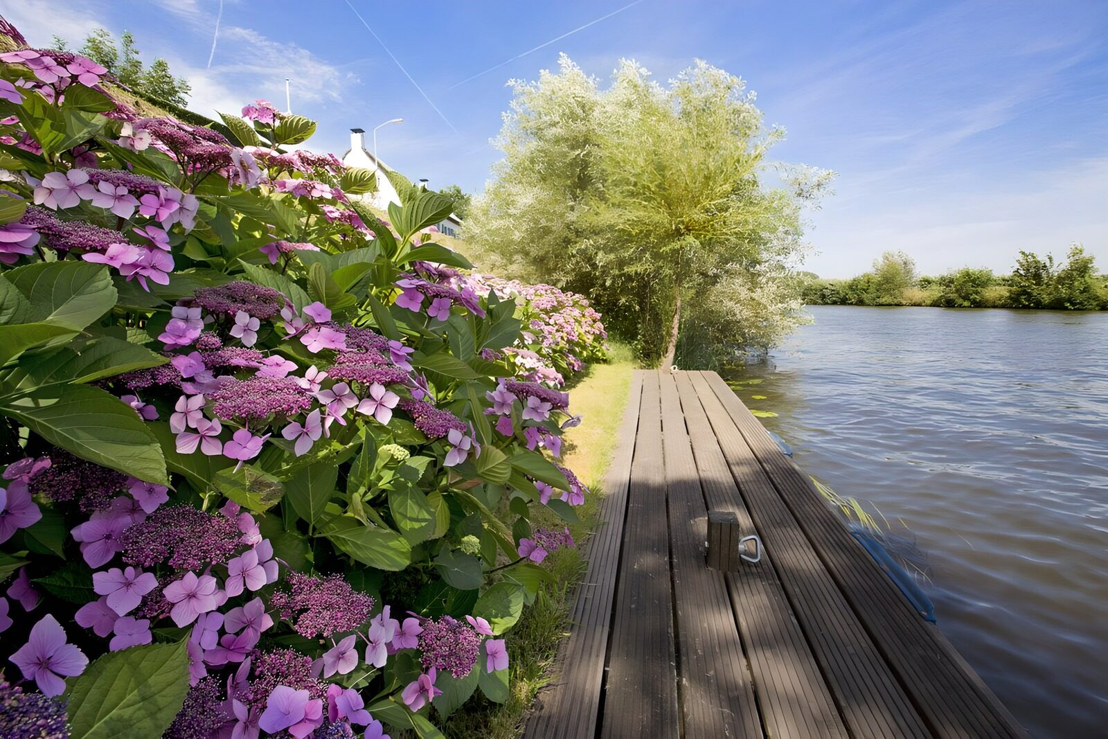 Blühende Landschaft am Wasser