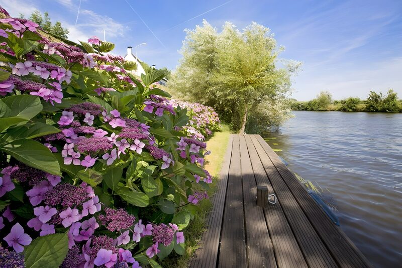 Blühende Landschaft am Wasser