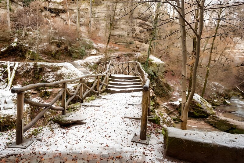 Winterlicher Holzweg im Wald