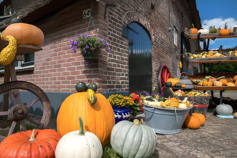 Herbstliche Kürbisvielfalt am Hof