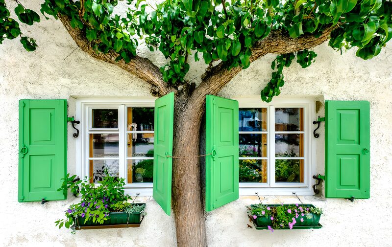 Grünes Fenster mit Baum