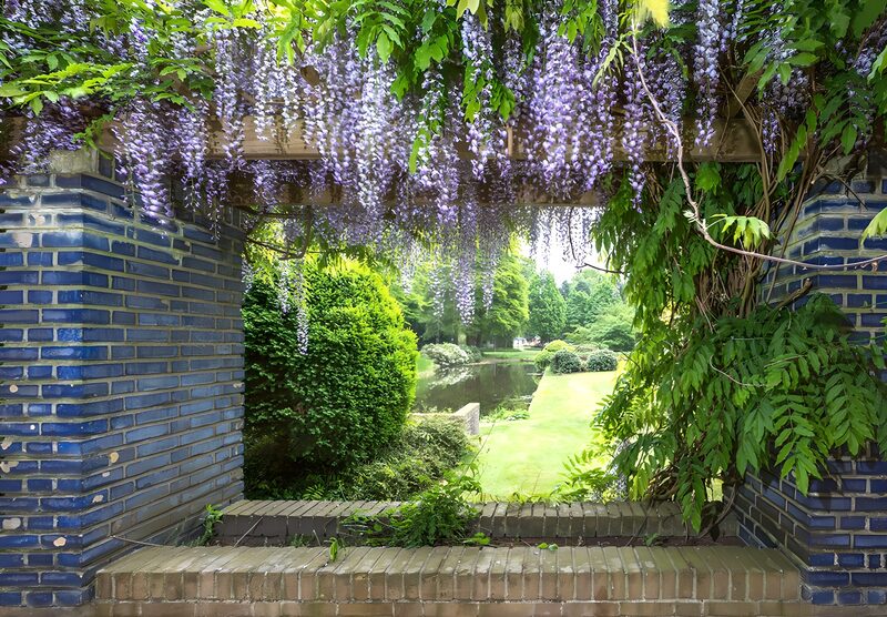 Blühende Aussicht im Garten