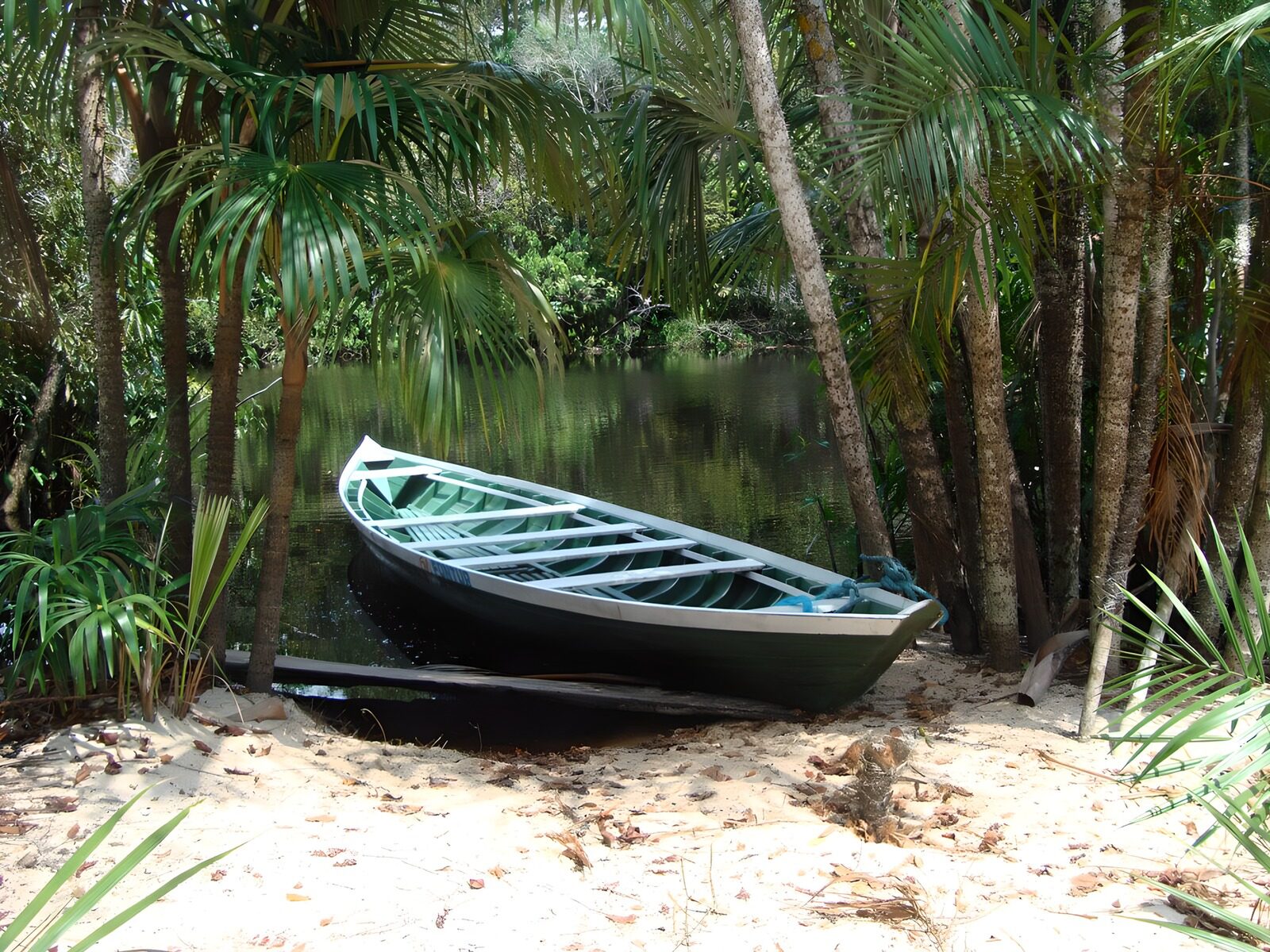 Entspanntes Boot im Dschungel