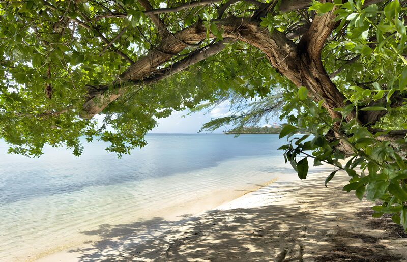 Ruhe am Strand unter dem Baum