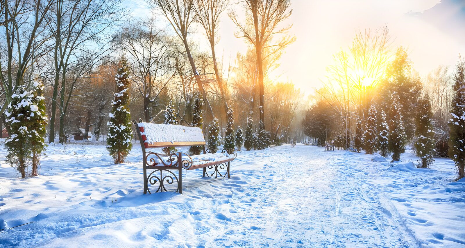Winterliche Parklandschaft im Sonnenaufgang