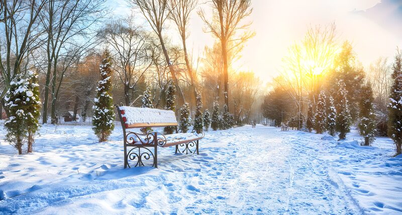 Winterliche Parklandschaft im Sonnenaufgang