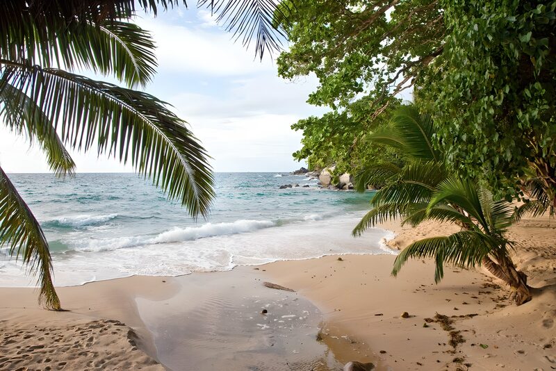 Tropischer Strand mit Palmen