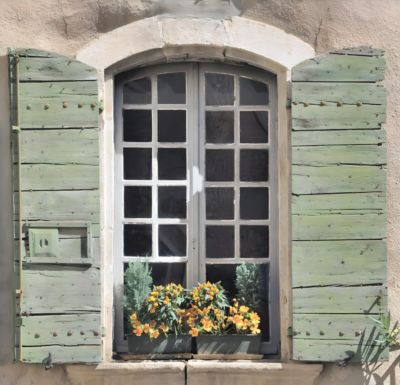 Gemütliches Fenster mit blühenden Pflanzen