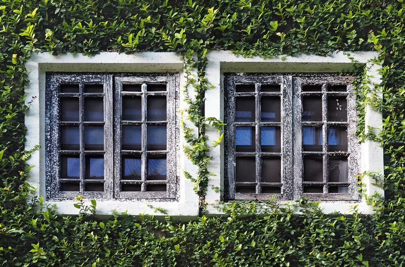 Vergessene Fenster im Grünen