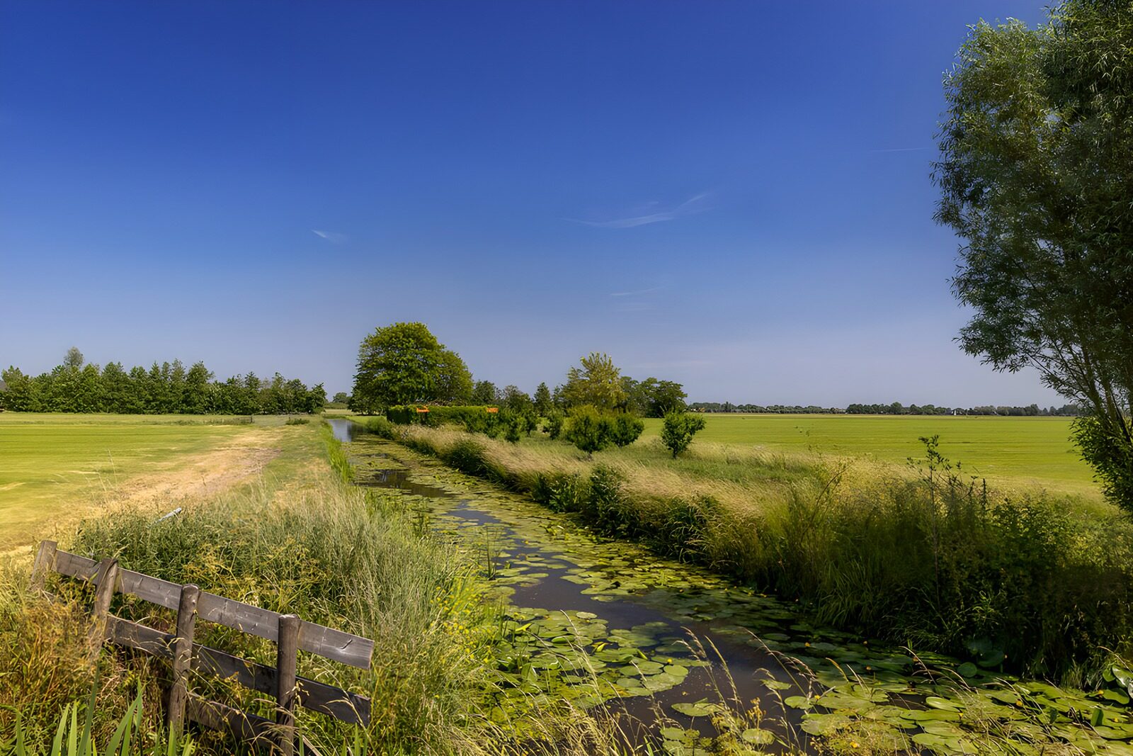 Idylle in der ländlichen Natur
