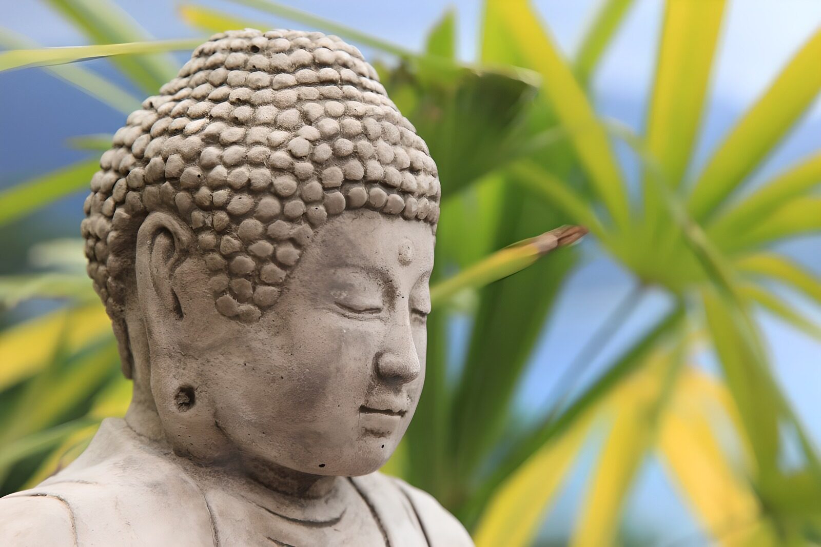 Buddha-Statuette im Einklang mit der Natur