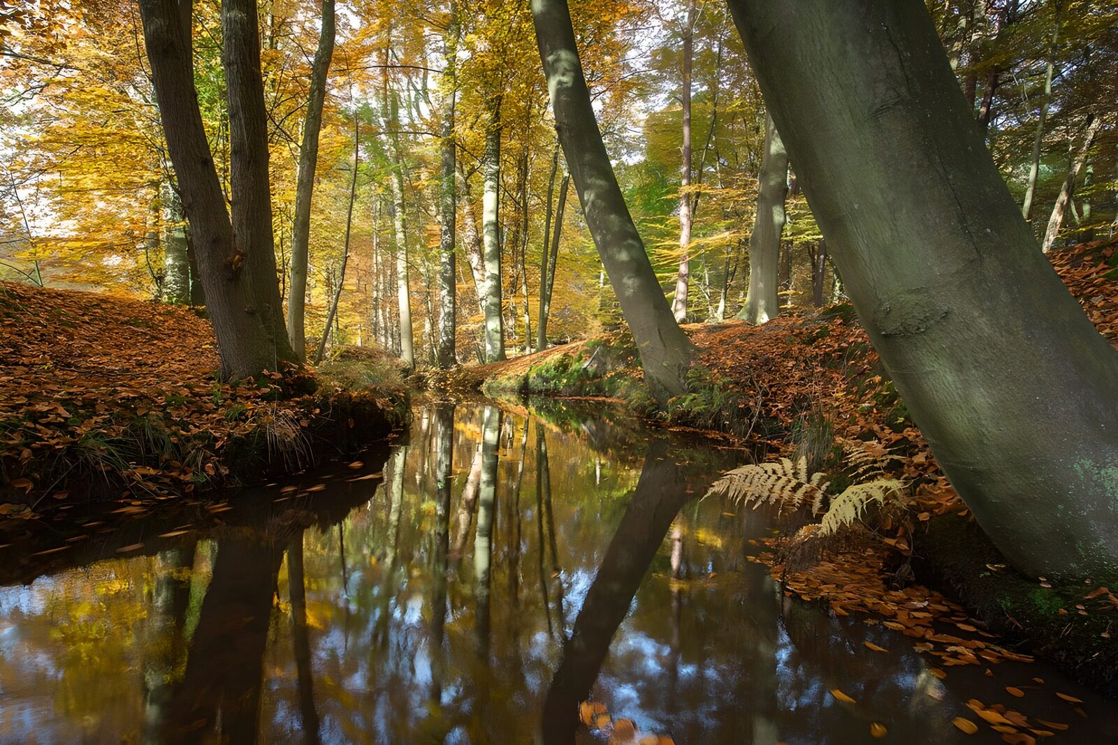 Herbstliche Stille am Fluss