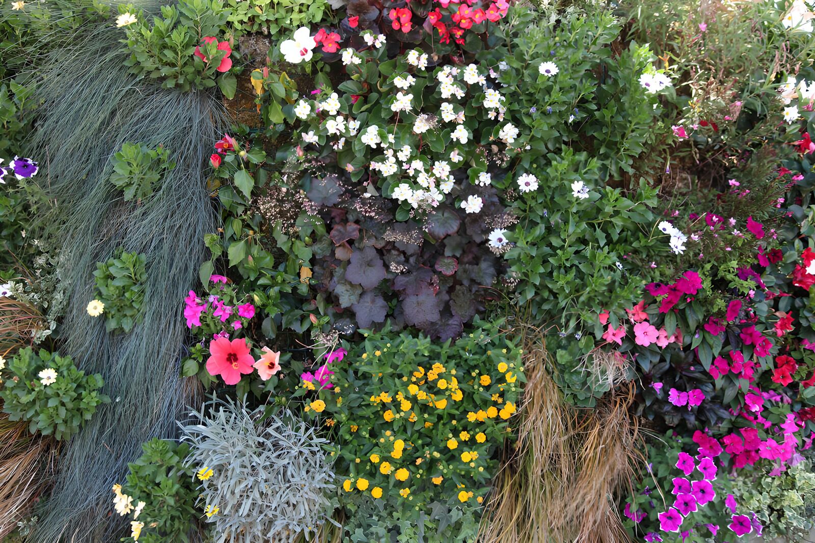 Bunte Blumenvielfalt im Garten
