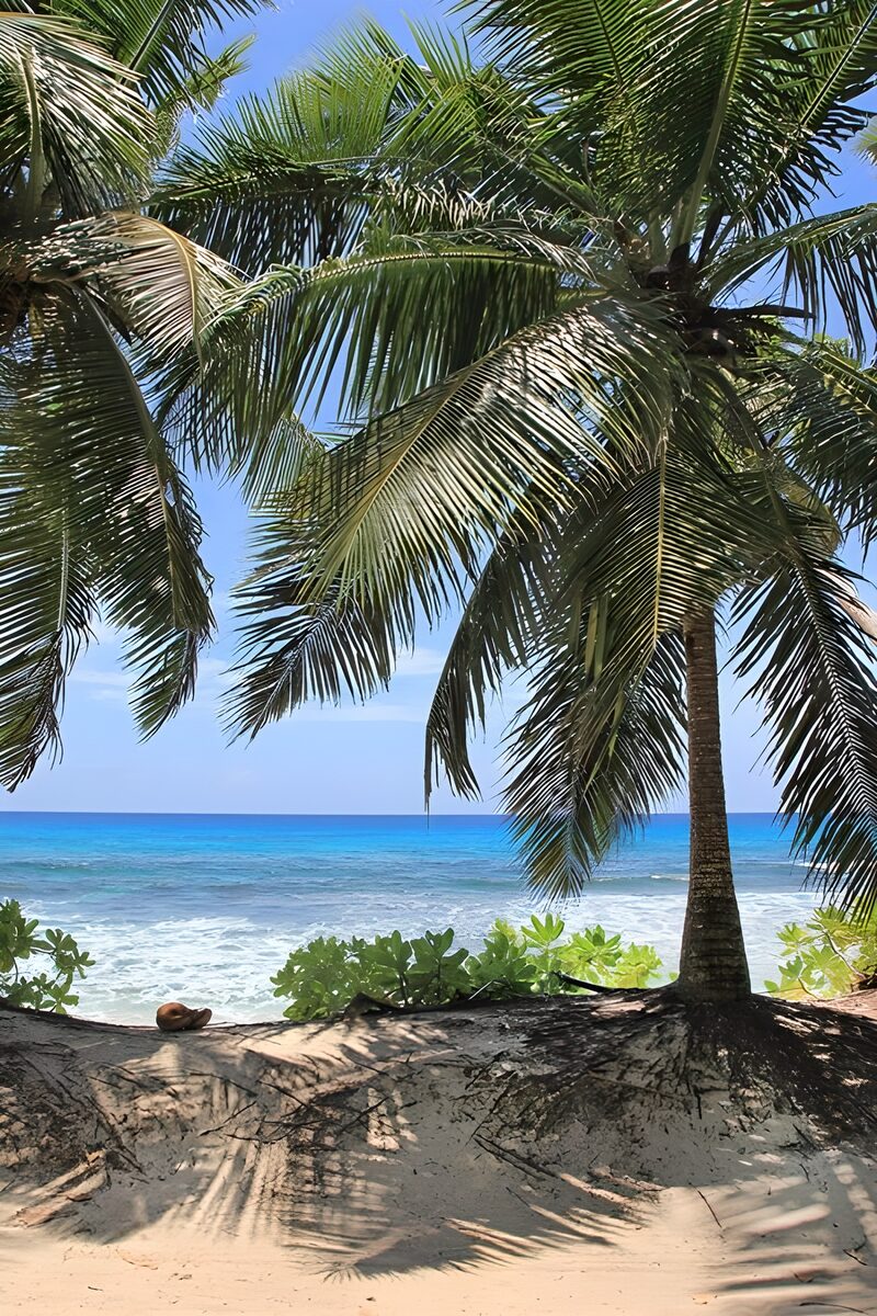 Tropisches Paradies am Meer