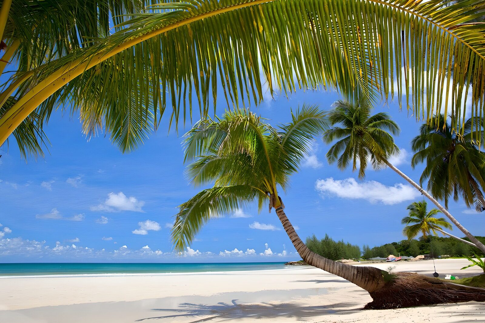 Paradiesischer Strand mit Palmen