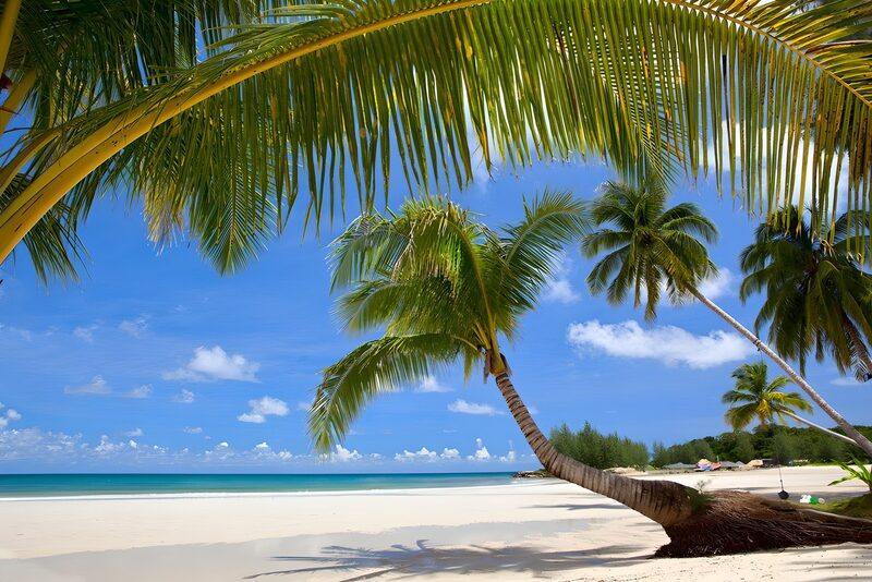 Paradiesischer Strand mit Palmen