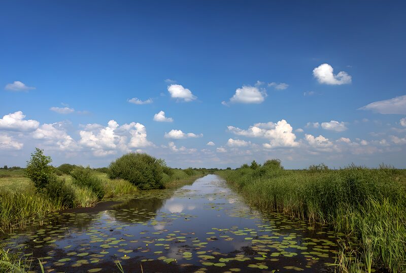 Ruhige Wasserlandschaft im Sommer