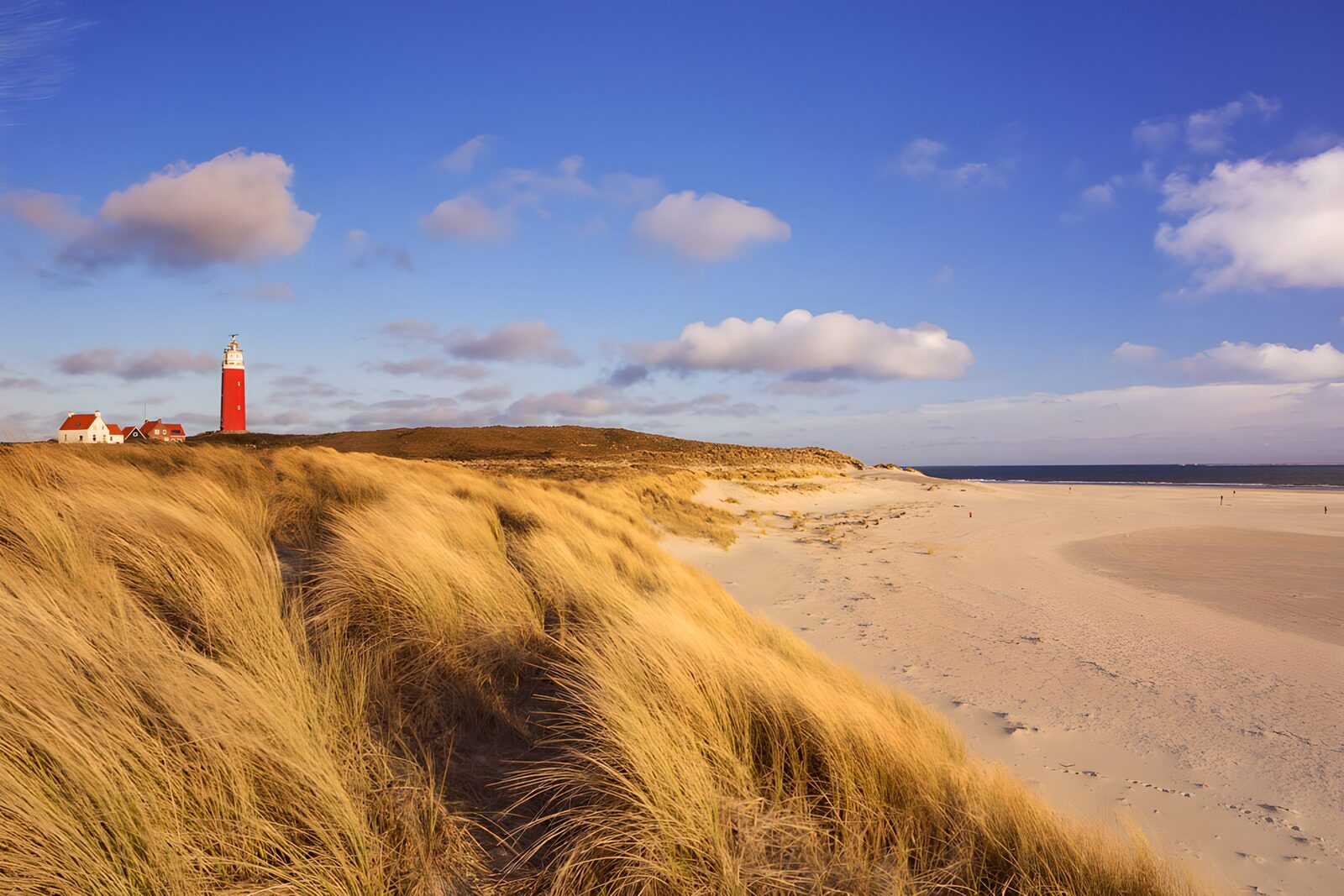 Leuchtturm an der Küste von Texel