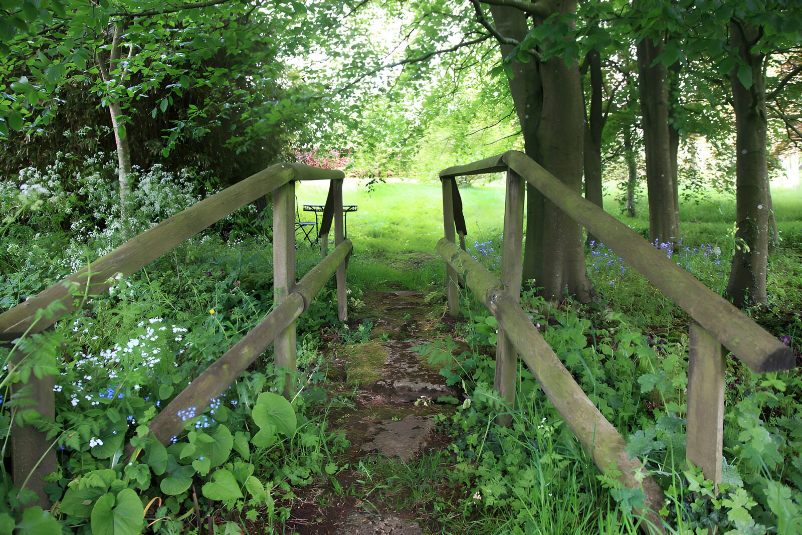 Grüner Weg durch den Wald