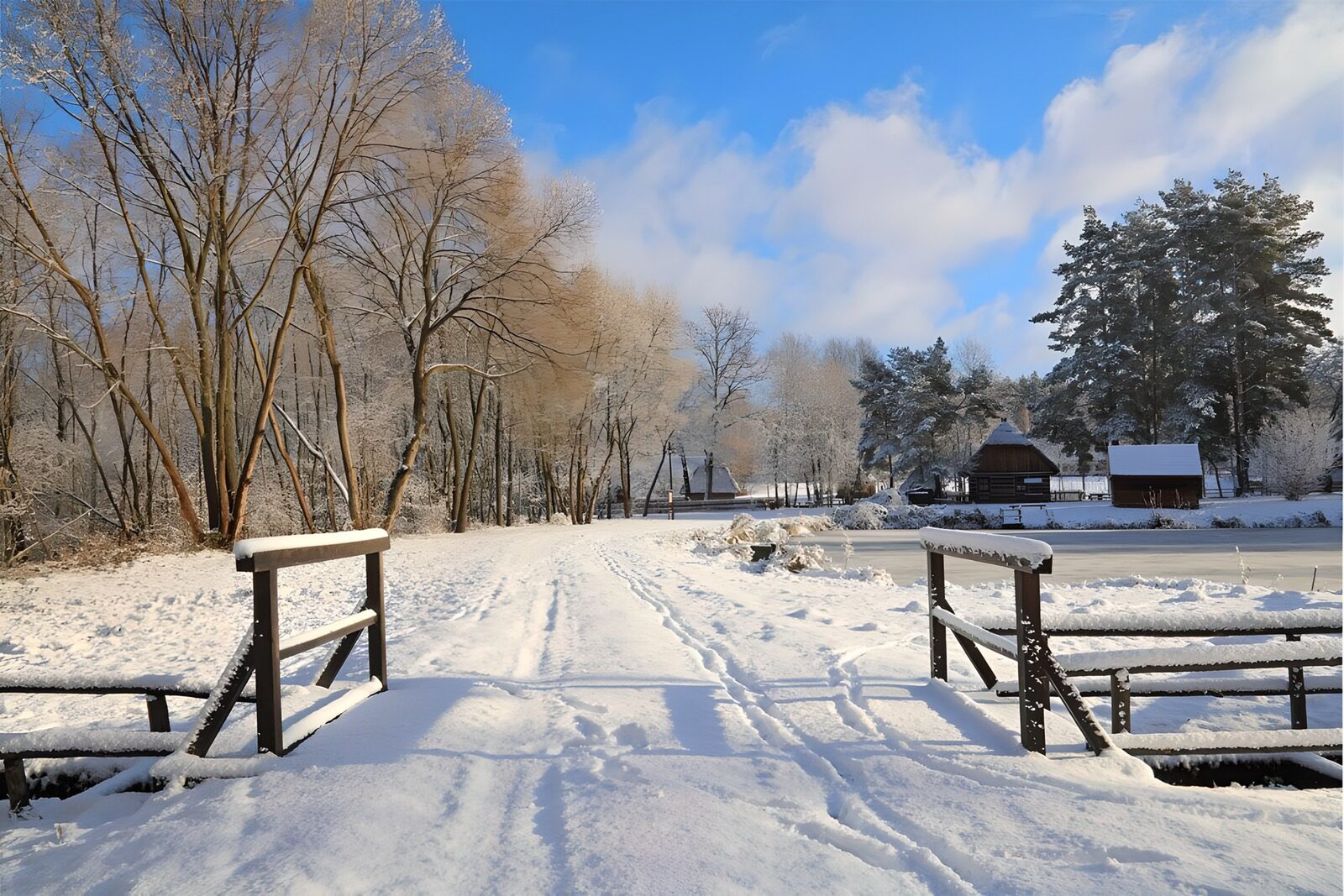 Winterlandschaft mit schneebedecktem Weg
