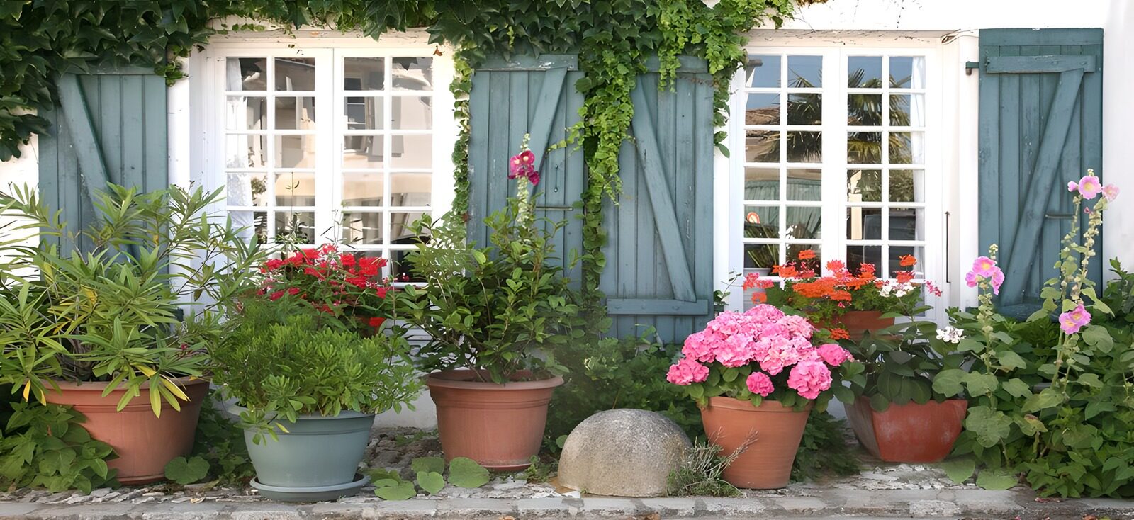 Blühende Fenster mit bunten Pflanzen