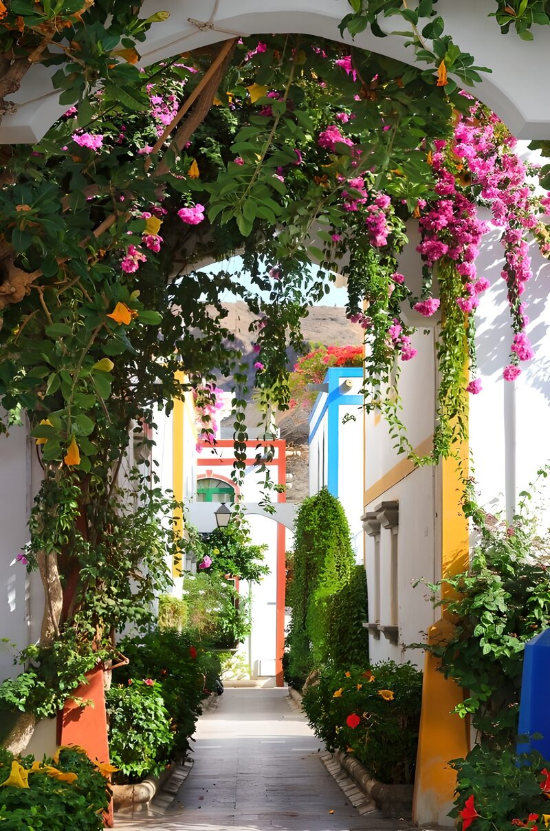 Farbenfroher Gartenweg in Mexiko