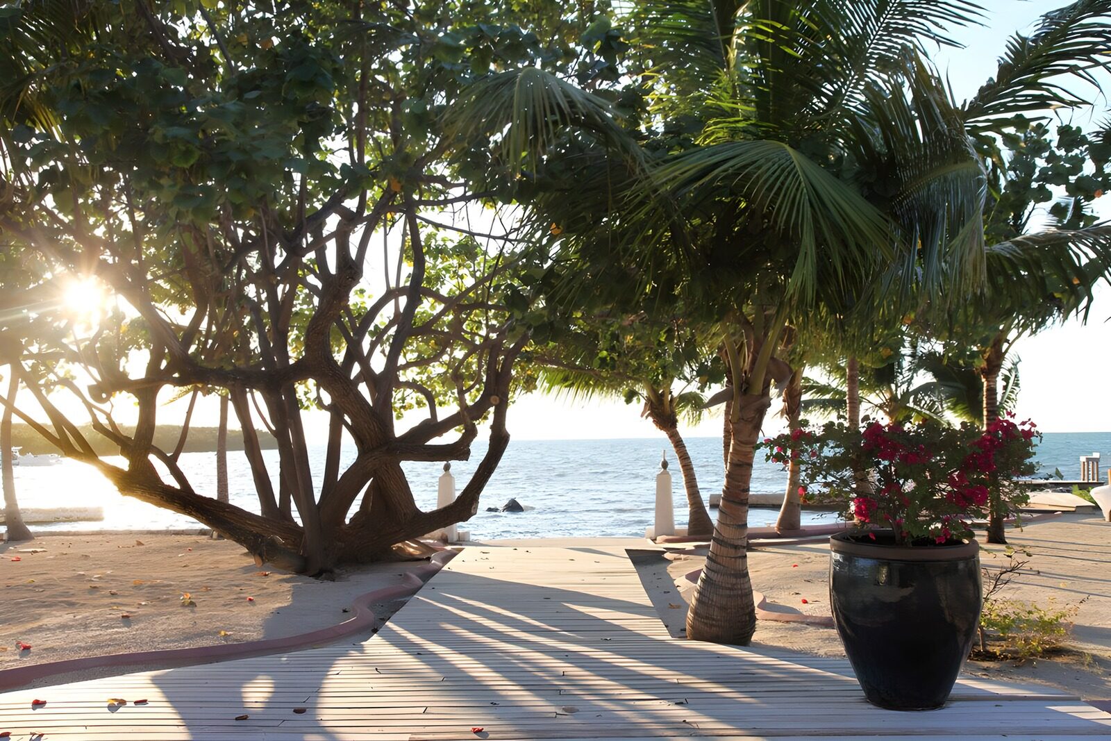 Kurs an den sonnigen Strand