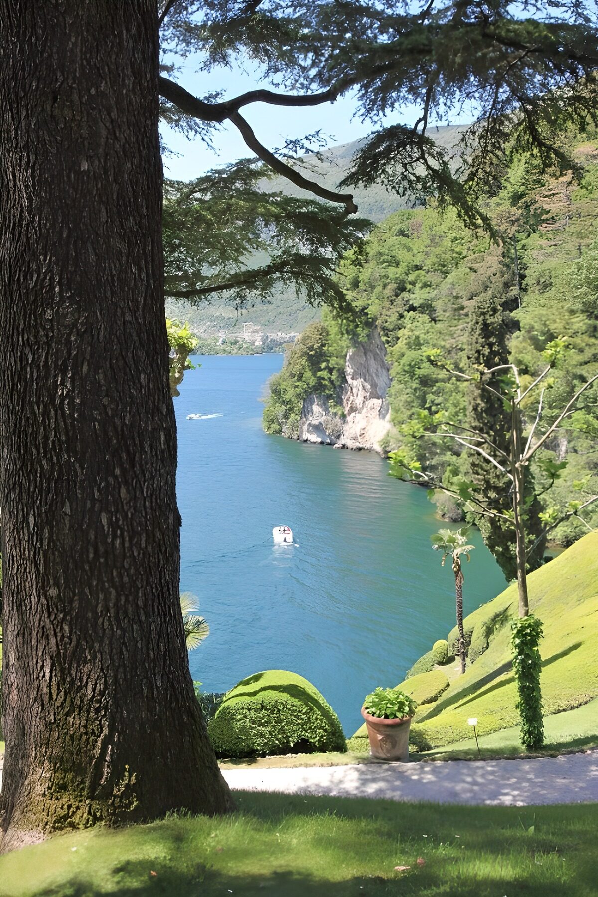 Sommerlicher Blick auf den See